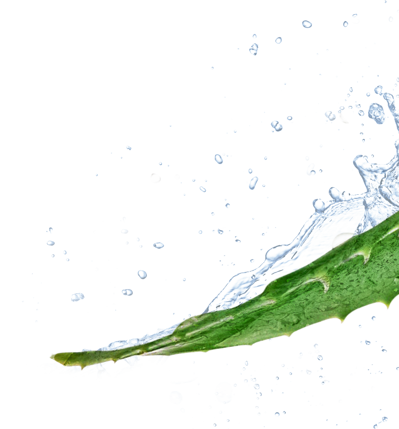 Product Experience - Drawing Clipart (791x850), Png Download