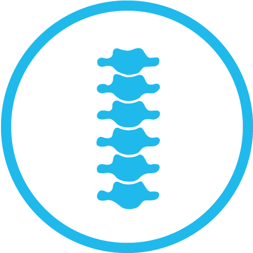 Spine Png Clipart (800x800), Png Download