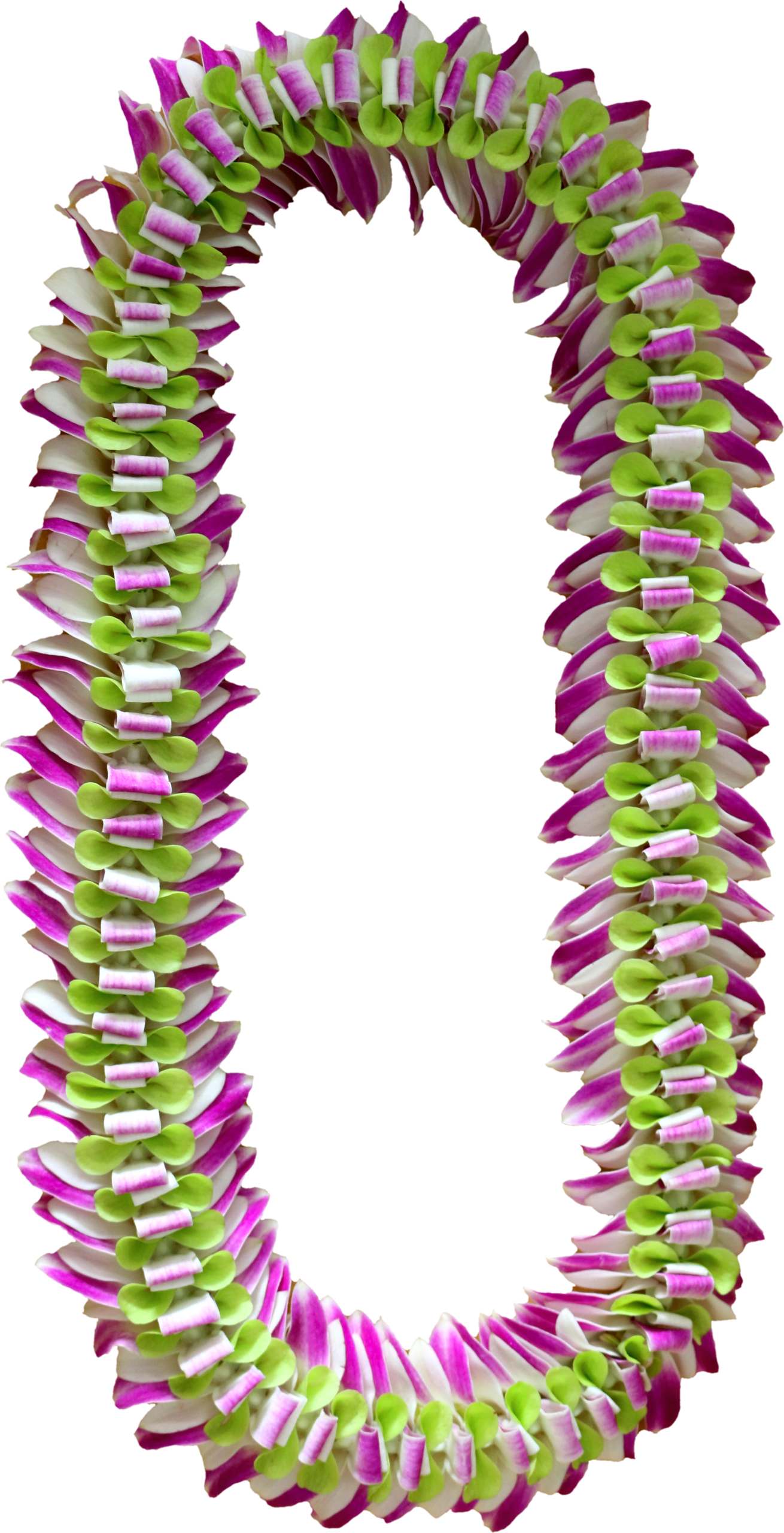 S474186852229641498 P337 I4 W2560 - Artificial Flower Clipart (1310x2560), Png Download