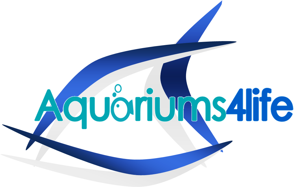 Aquarium Clipart (1049x699), Png Download