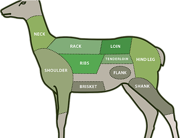 Dear Clipart Venison - Cattle - Png Download (640x480), Png Download