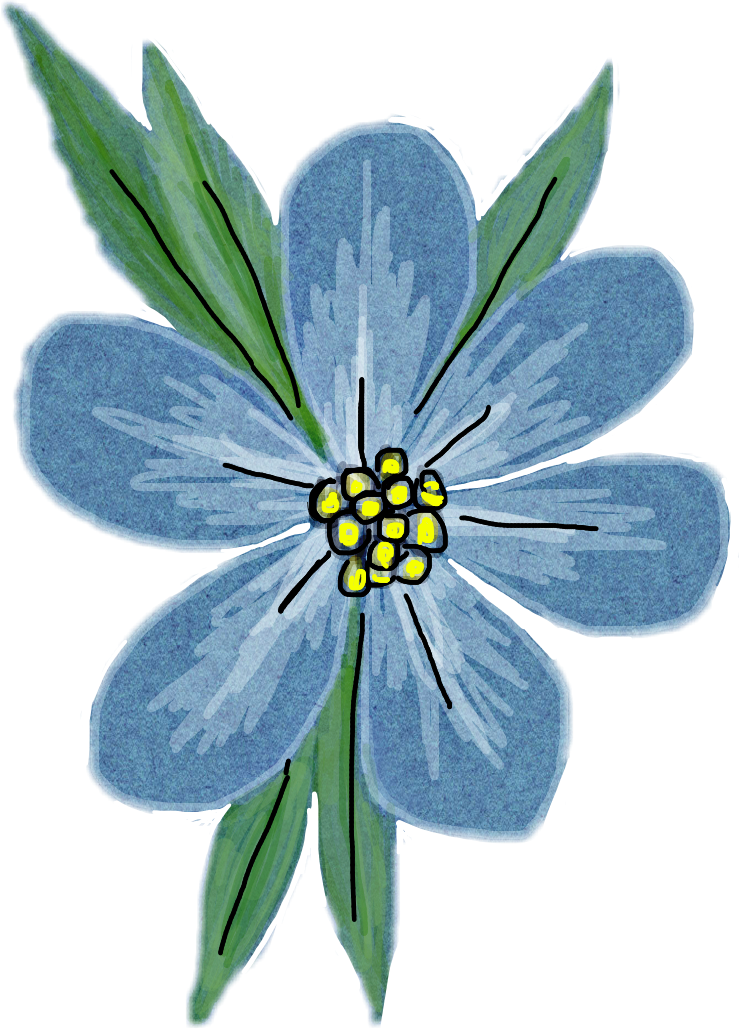 Stickers Sticker - Common Peony Clipart (739x1029), Png Download