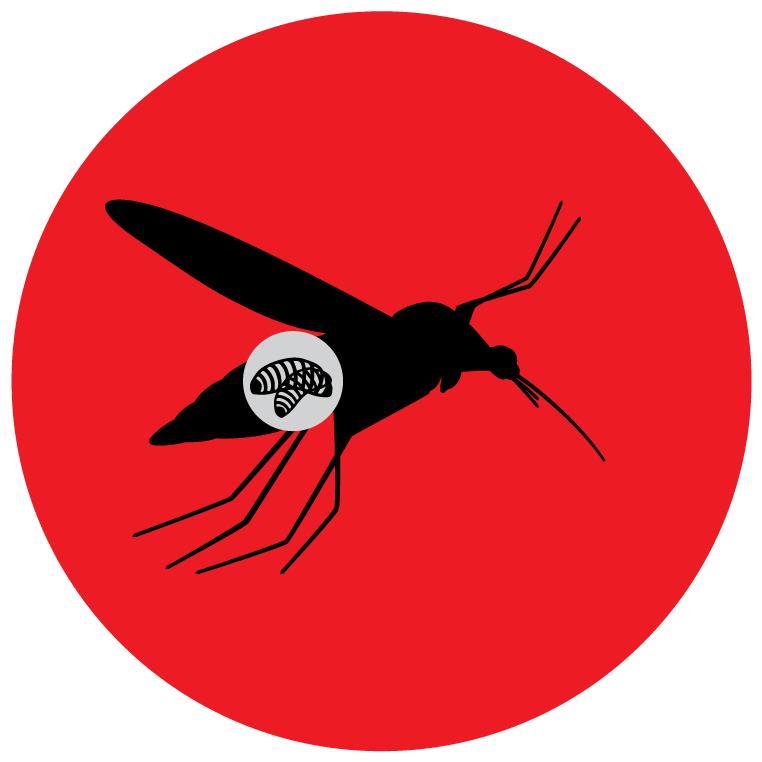 Step Two - Cnrs Clipart (800x800), Png Download