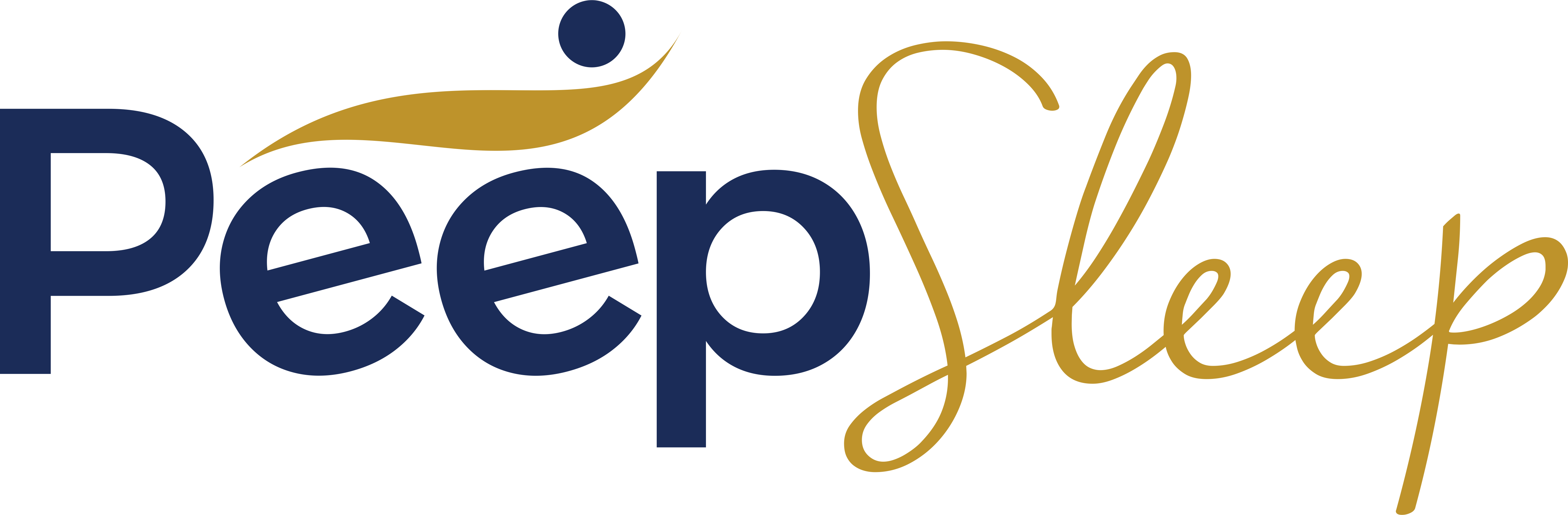 Surfers Holiday Apartments Clipart (5000x1642), Png Download