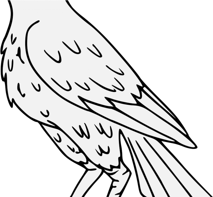 Falcon Drawing Png Clipart (1024x768), Png Download