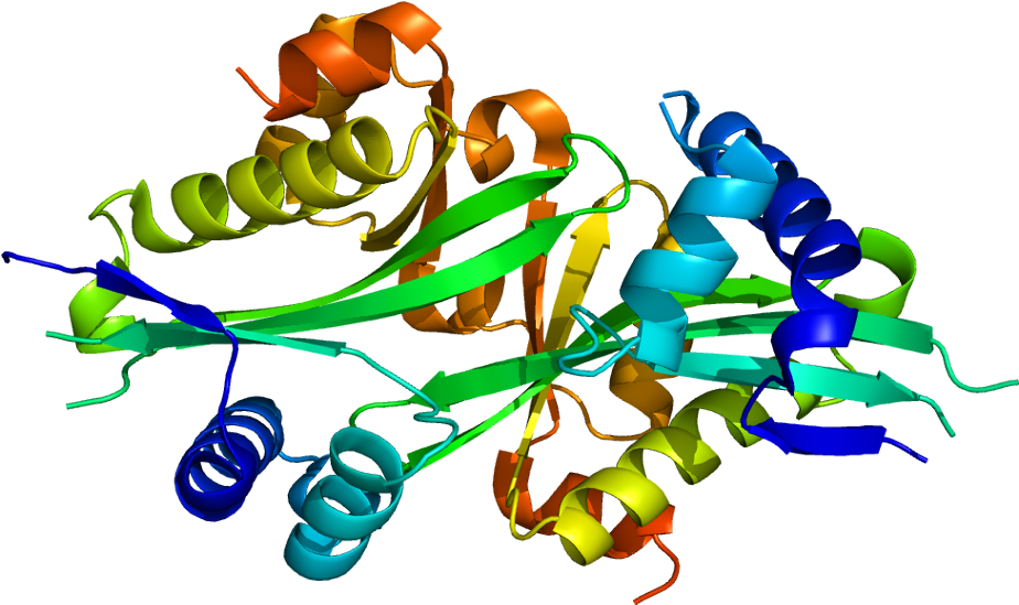 Graphic Design Clipart (973x598), Png Download