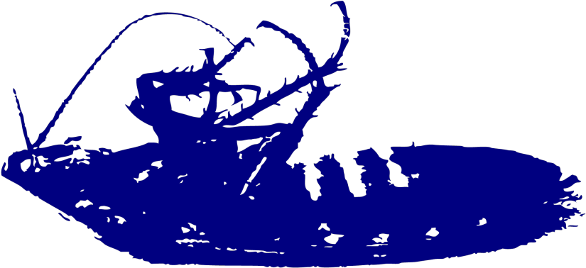 Cucaracha-1024x1024 - Illustration Clipart (1024x1024), Png Download