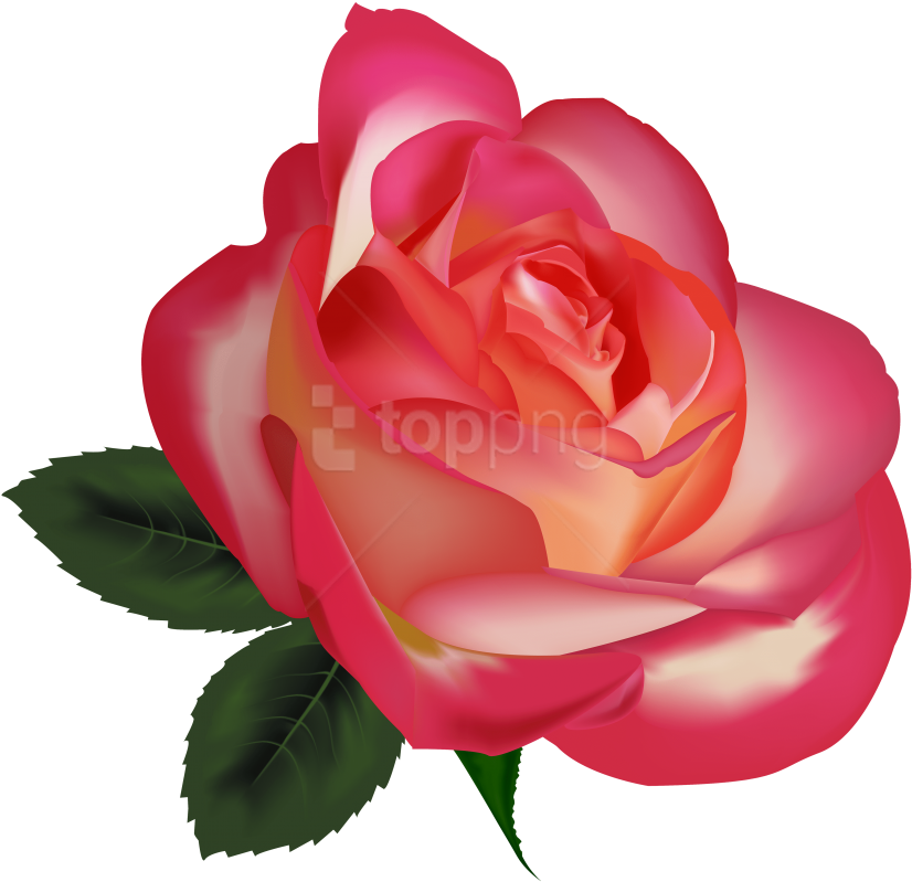 Download Beautiful Rose Image Clipart Png Photo - Beautiful Image Png Download Transparent Png (850x816), Png Download