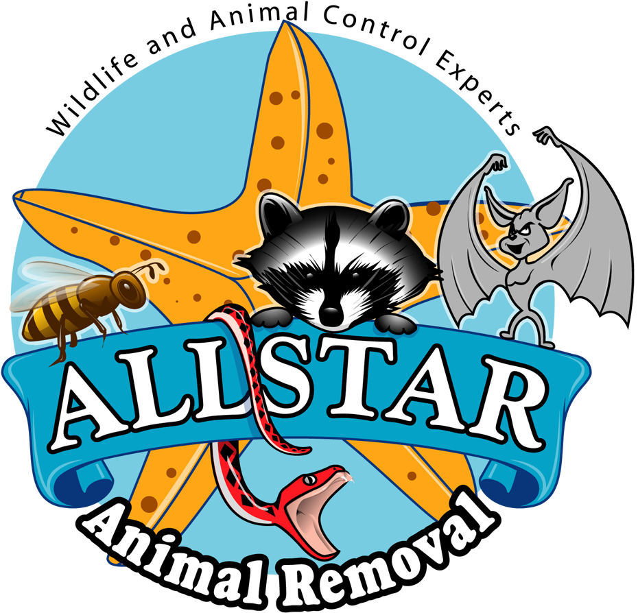 Allstar Animal Removal Florida Clipart (1000x962), Png Download