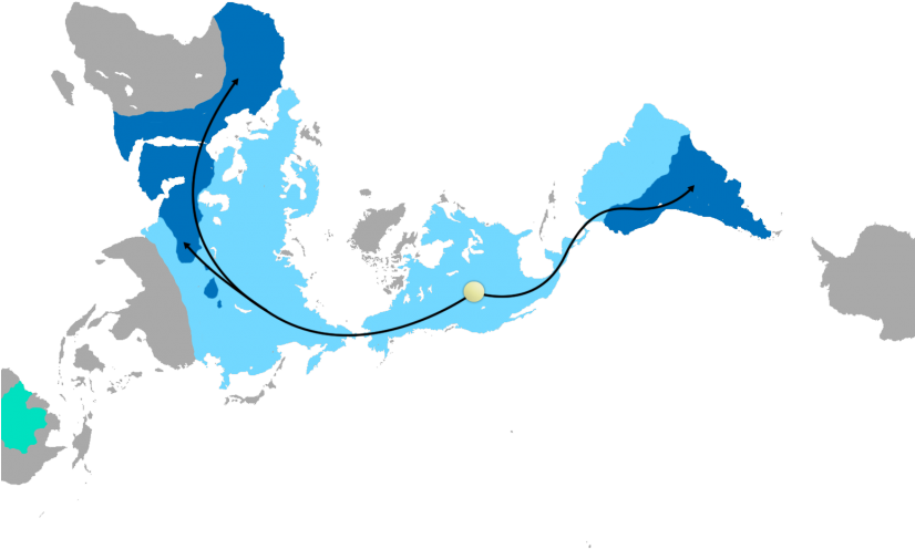 Migration Translation - Dymaxion Map Clipart (825x510), Png Download