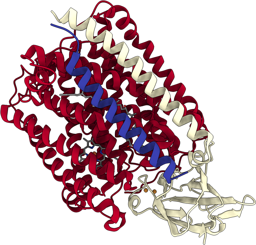 Chains Colored In Rainbow - Illustration Clipart (1000x1000), Png Download