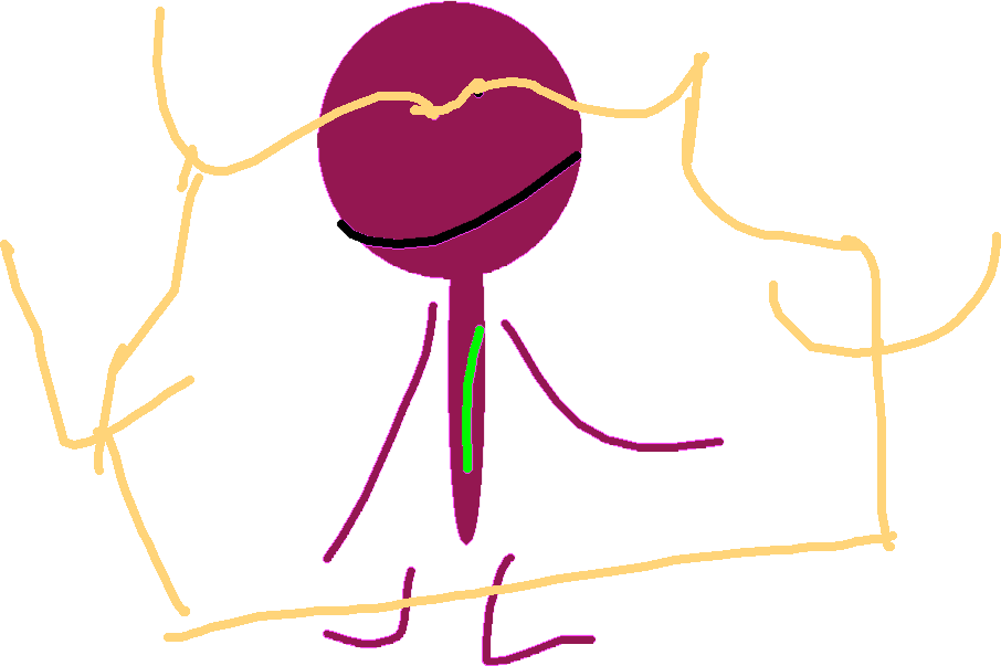 Walking1 Copy Clipart (906x603), Png Download