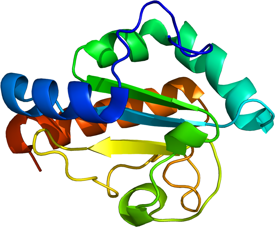 Graphic Design Clipart (951x794), Png Download