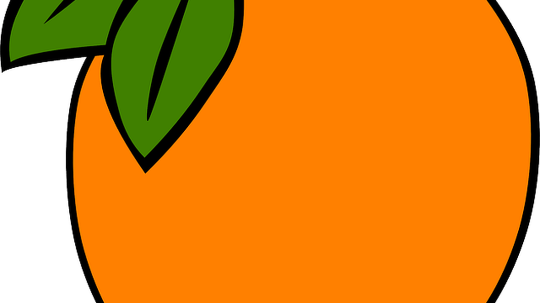 Rose Flower Silhouette - Orange Clip Art - Png Download (1067x600), Png Download