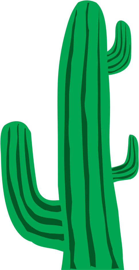 Graphic Royalty Free New Images Photos Download - Transparent Background Cactus Clipart - Png Download (800x800), Png Download