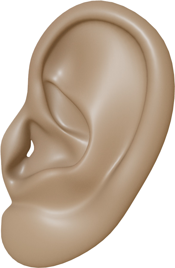 Ear - Brown Ear Transparent Clipart (1000x1000), Png Download