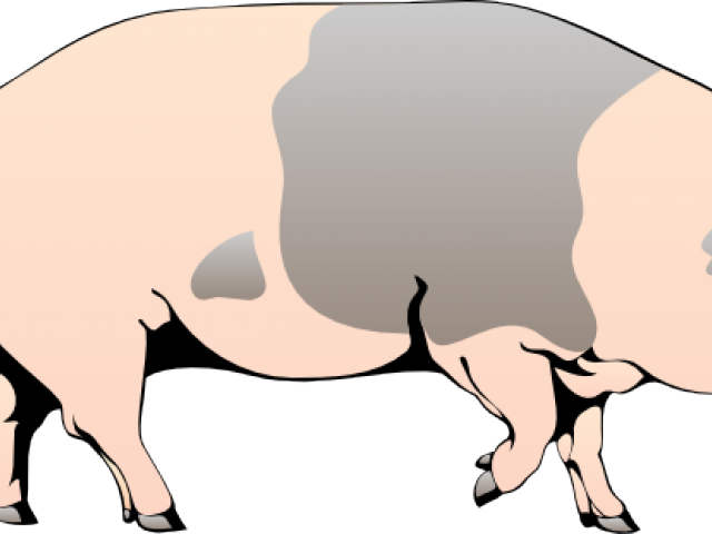 Pig Clipart Walking - Pig Clipart - Png Download (640x480), Png Download