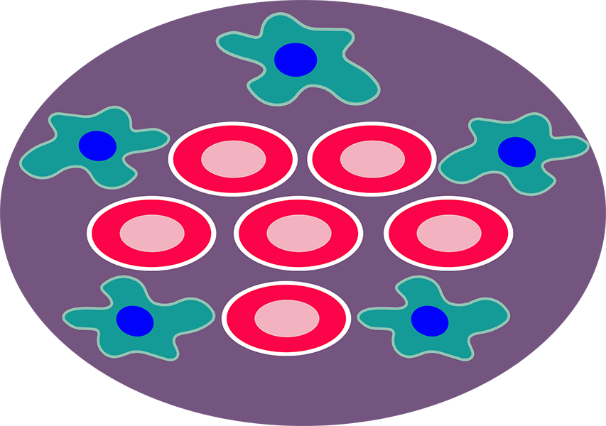 Png Freeuse Library Cancer Cell Clipart - Circle Transparent Png (853x600), Png Download