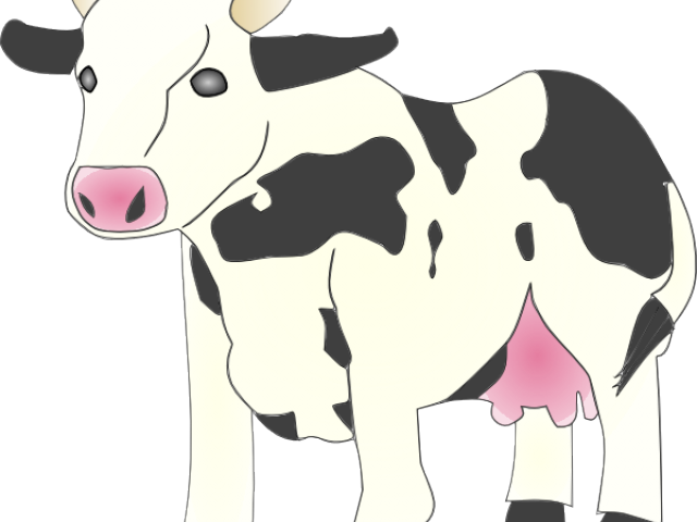 Cow Clipart Sapi - Cow Clip Art - Png Download (640x480), Png Download