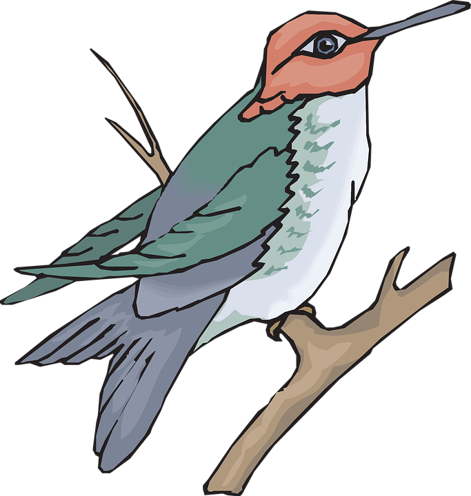 Hummingbird On A Branch Clip Art - Sun Bird Clipart - Png Download (564x595), Png Download