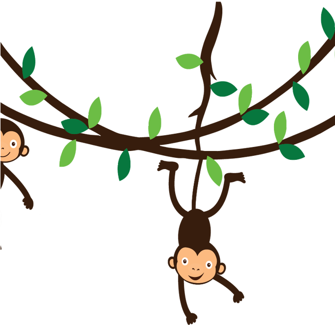 Vine Clipart Monkey Pencil And In Color Vine Clipart - Spider Monkey Clip Art - Png Download (680x680), Png Download