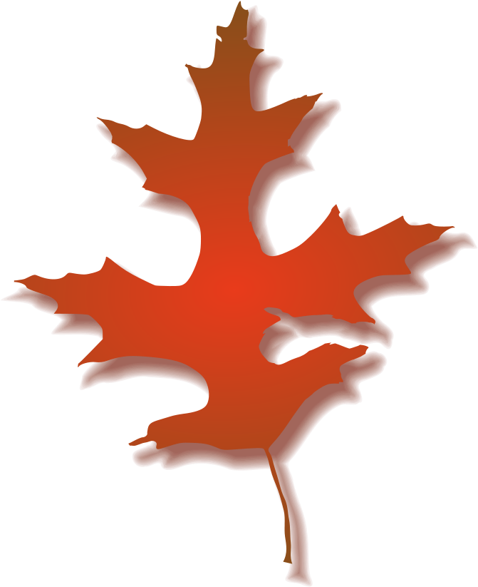 Book Now - Red Oak Leaf Clipart - Png Download (706x800), Png Download