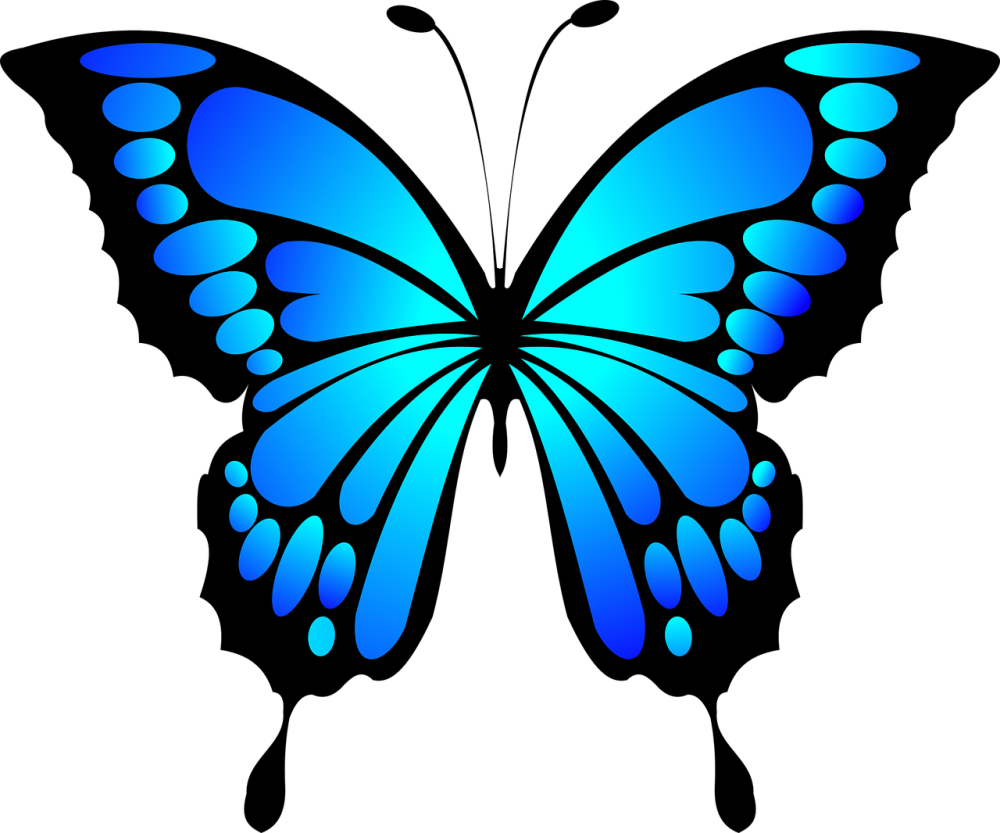 Butterfly Insect Blue Morpho - Blue Butterfly Clipart (900x750), Png Download