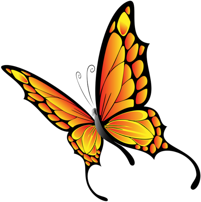 ‿✿⁀butterflies‿✿⁀ - Clip Art Minibeasts - Png Download (799x800), Png Download