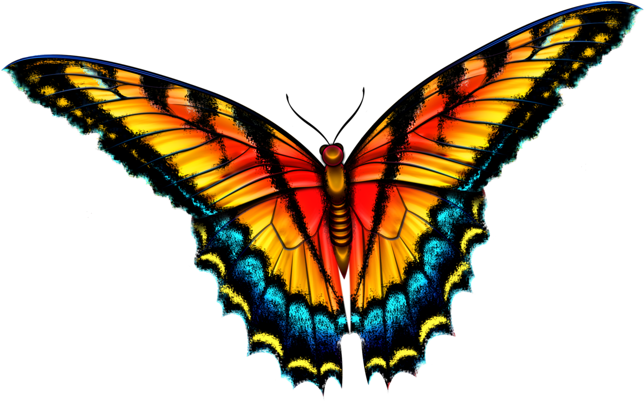 Butterfly - Smokey Mountain Butterflies In Field License Plate Clipart (1280x932), Png Download