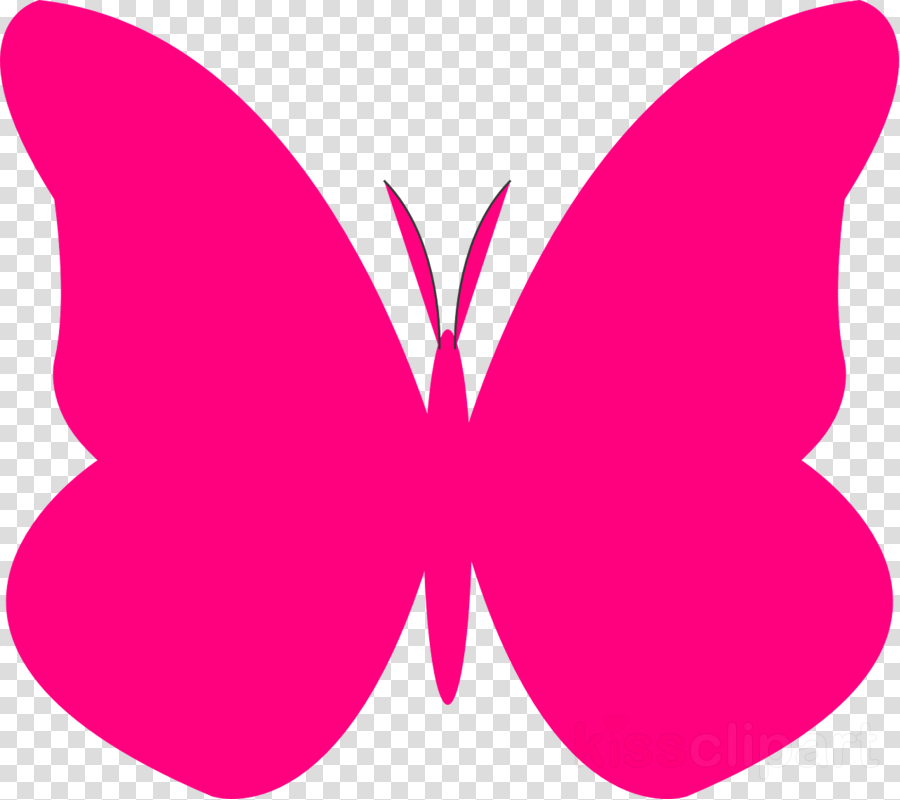 Butterfly - Fuchsia - Cellbatt Apple Ipod Touch 4 Case, Black White Custom Clipart (900x800), Png Download