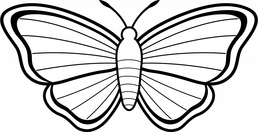 Weird Butterfly Sketch Pictures Free Cliparts Download - Colouring Picture Of Butterfly - Png Download (1024x524), Png Download