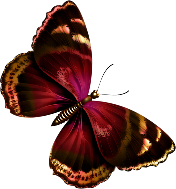 İndir - Belles Images Tubes Pour Créa Papillons Scraps Clipart (745x800), Png Download