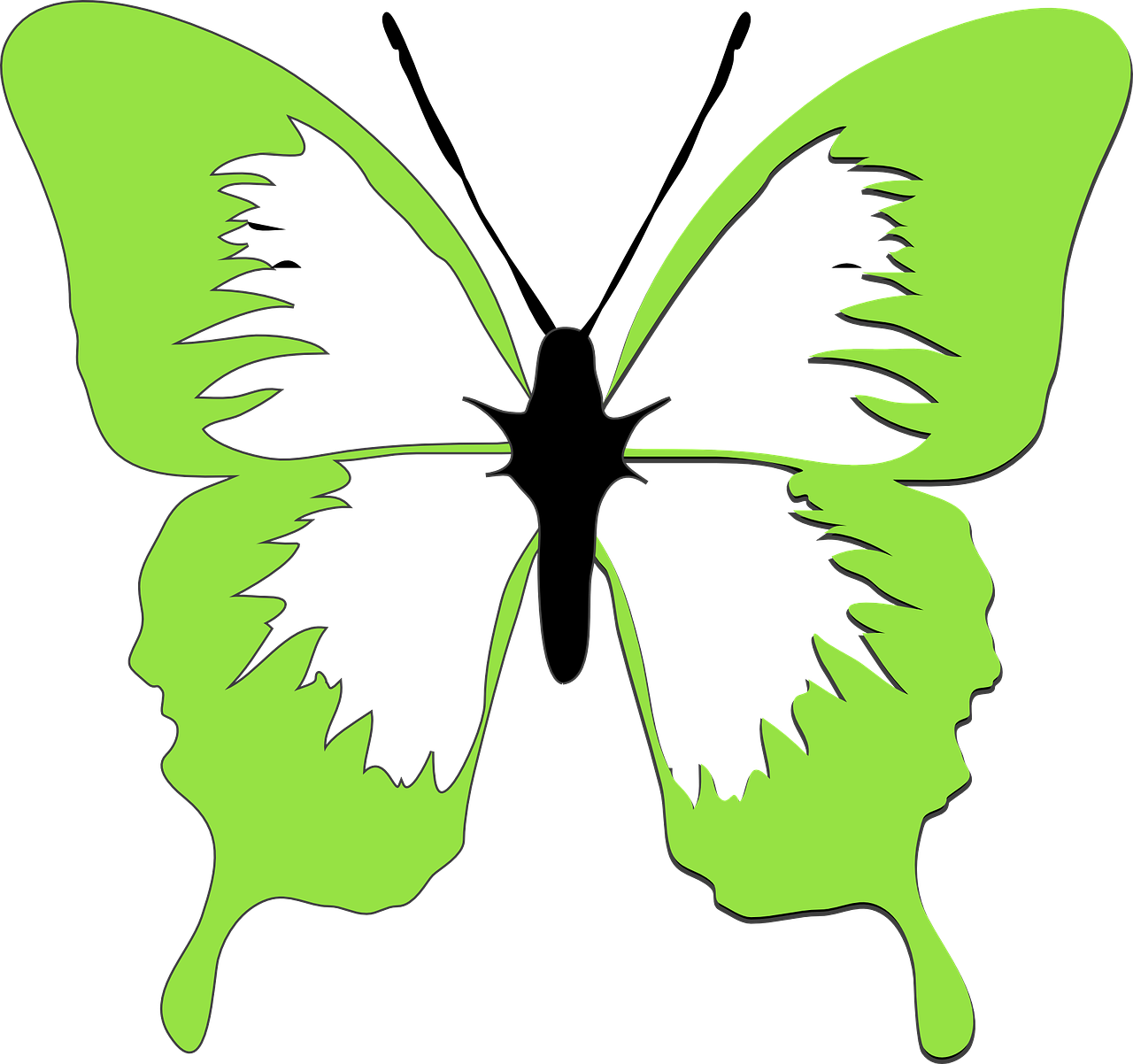 Green Butterfly Clip Art - Png Download (600x564), Png Download