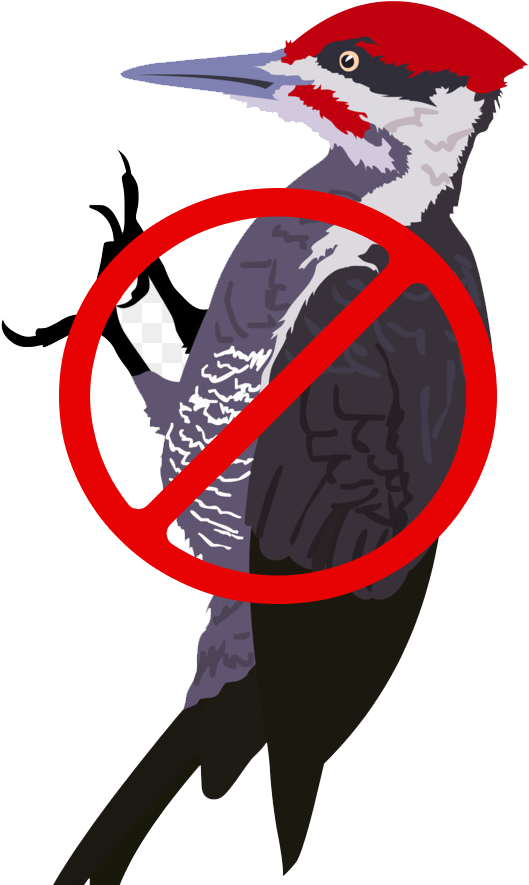 Which Are Mixed In A Proprietary Ratio To Produce The - Woodpecker Clipart - Png Download (529x885), Png Download