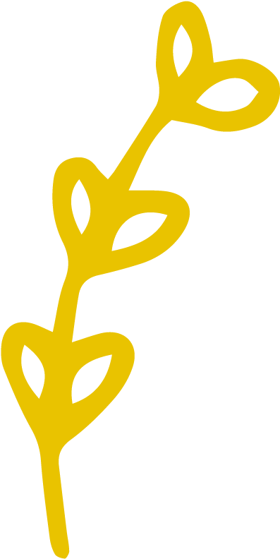 Clip Art - Png Download (900x900), Png Download