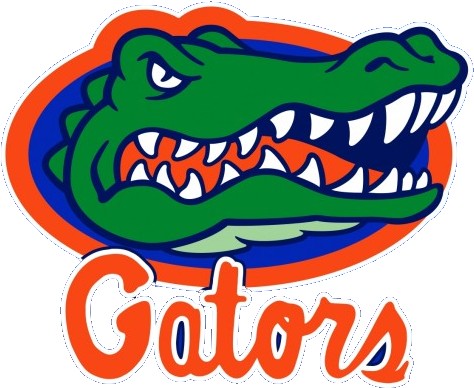 Increase Your Exposure - Florida Gator Clipart (800x600), Png Download