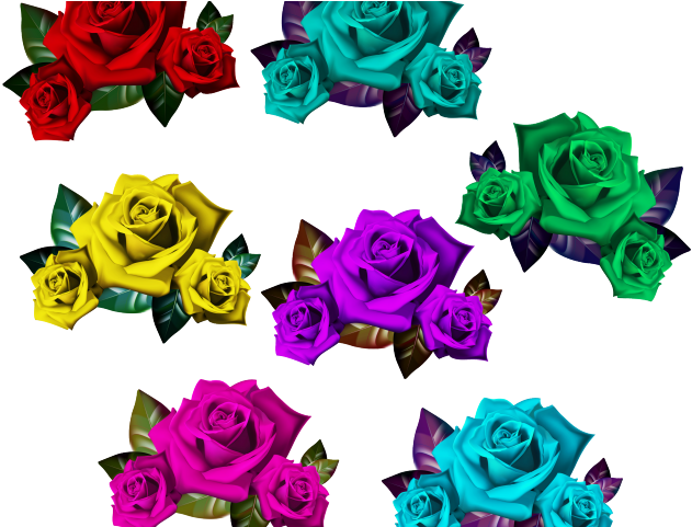 Rose Clipart Romeo And Juliet - Floribunda - Png Download (640x480), Png Download