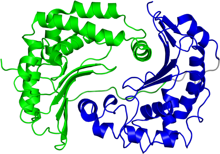 <div Class='caption-body'>2 Copies Of Cath Domain < - Graphic Design Clipart (800x800), Png Download