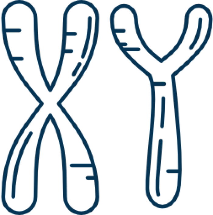 Medical-700x708 Clipart (700x708), Png Download