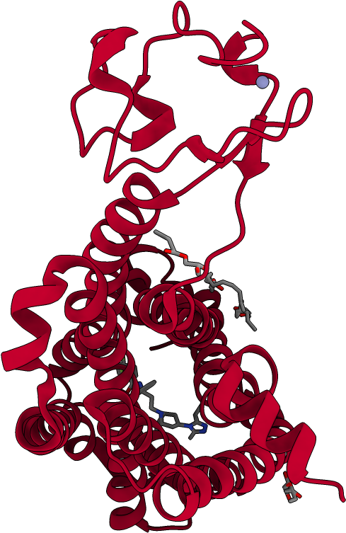 Biological Assembly - Illustration Clipart (1000x1000), Png Download