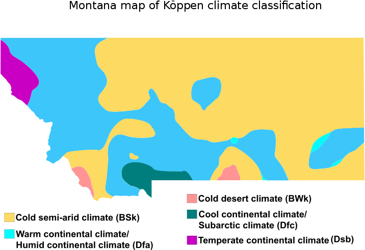 Montana Vector Map - Graphic Design Clipart (800x549), Png Download