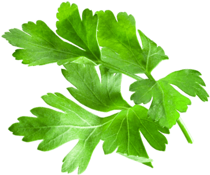 Spreading Clipart (1400x1400), Png Download