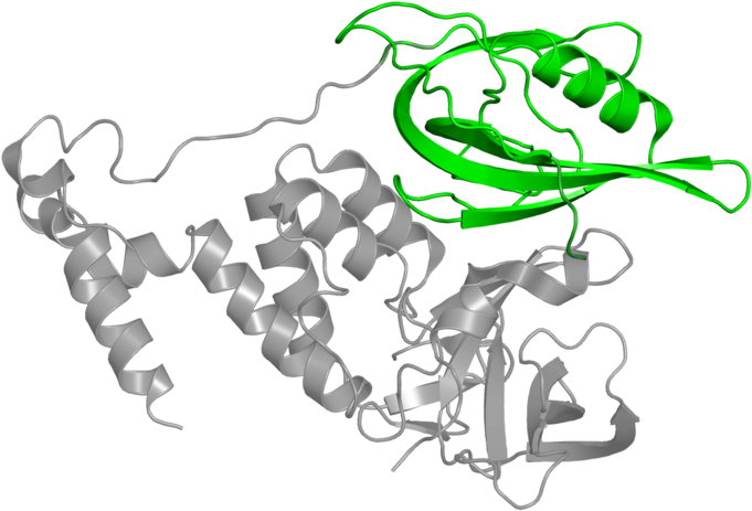 <div Class='caption-body'>1 Copy Of Cath Domain - Cartoon Clipart (800x800), Png Download