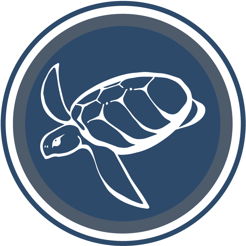 2 Fun Dive - Illustration Clipart (800x800), Png Download