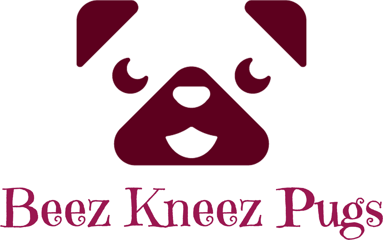 Clip Art - Png Download (1300x816), Png Download