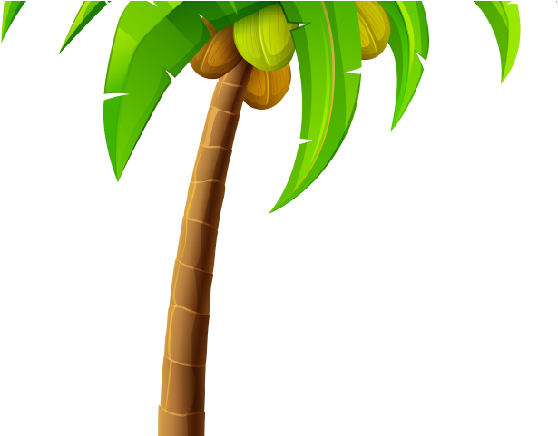 Palm Tree Clipart Windy - Palm Leaves Clip Art Transparent - Png Download (640x480), Png Download