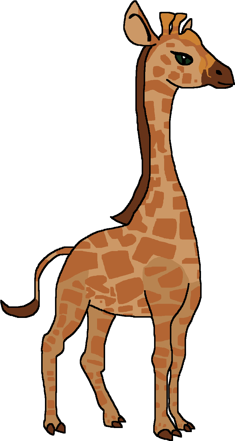 Wiki , Png Download - Giraffe Clipart (816x1530), Png Download