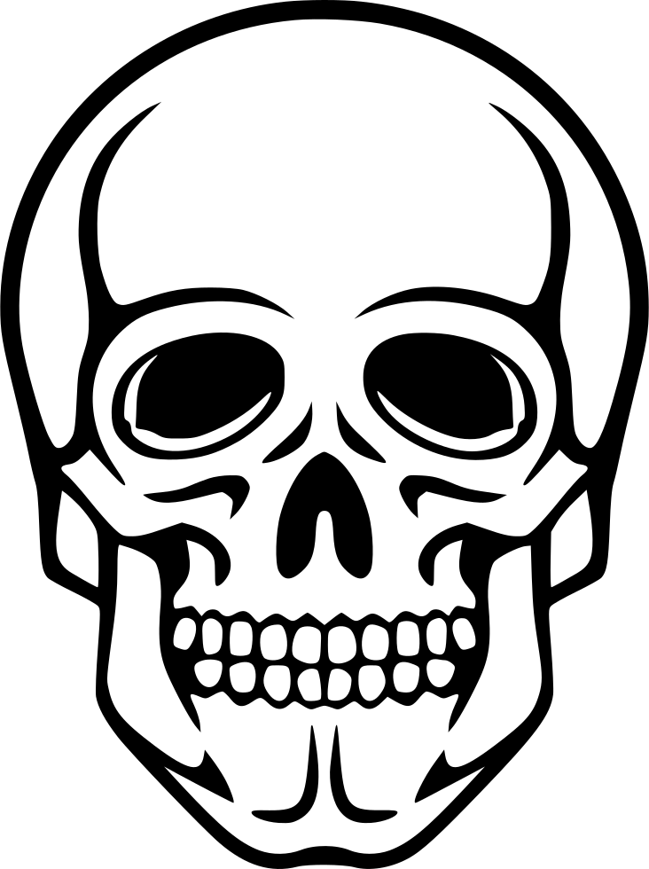 Png File - Skeleton Clipart (732x980), Png Download