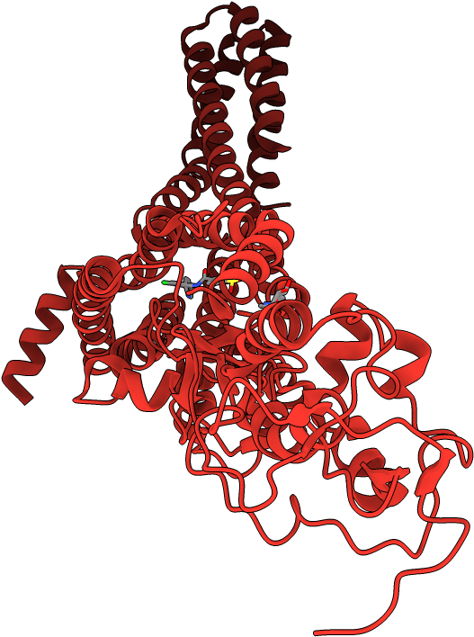 Chains Colored In Rainbow - Illustration Clipart (1000x1000), Png Download