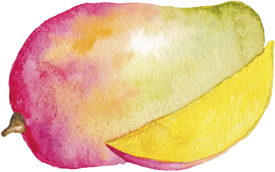 Hand Painted Cartoon - Mango Watercolor Drawing Png Clipart (1024x1024), Png Download